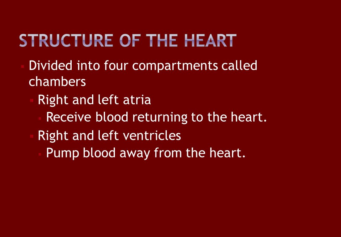  Divided into four compartments called chambers  Right and left atria  Receive blood returning to the heart.