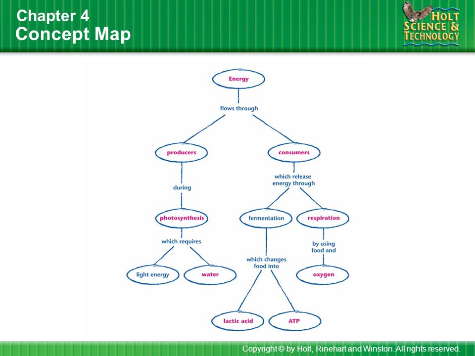Pictures Holt Biology Worksheets Answers Beatlogcarnival Holt Biology Worksheets Karibunicollies