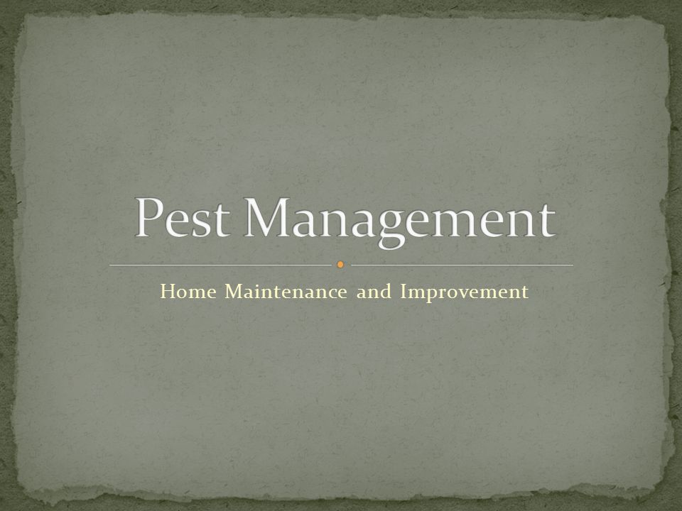 Home Maintenance and Improvement