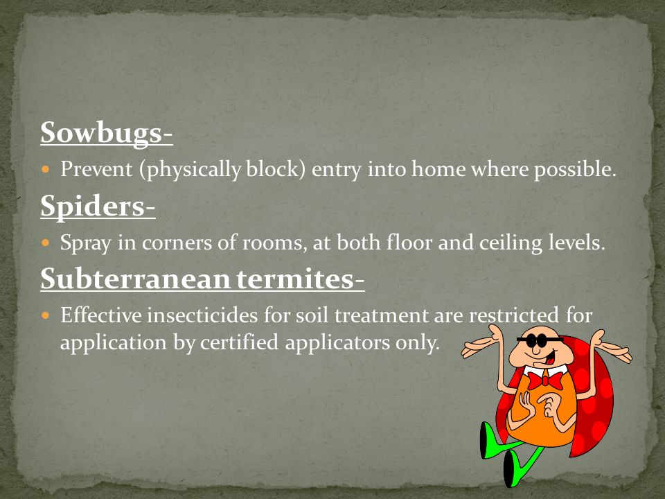 Sowbugs- Prevent (physically block) entry into home where possible.