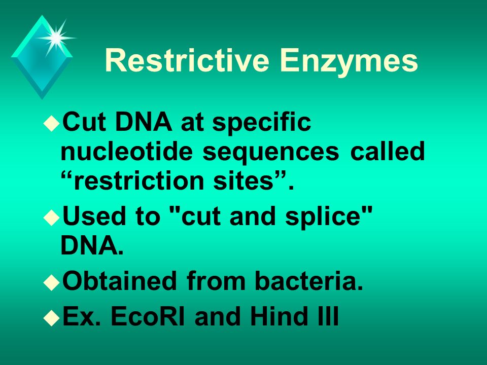 Restrictive Enzymes u Cut DNA at specific nucleotide sequences called restriction sites .