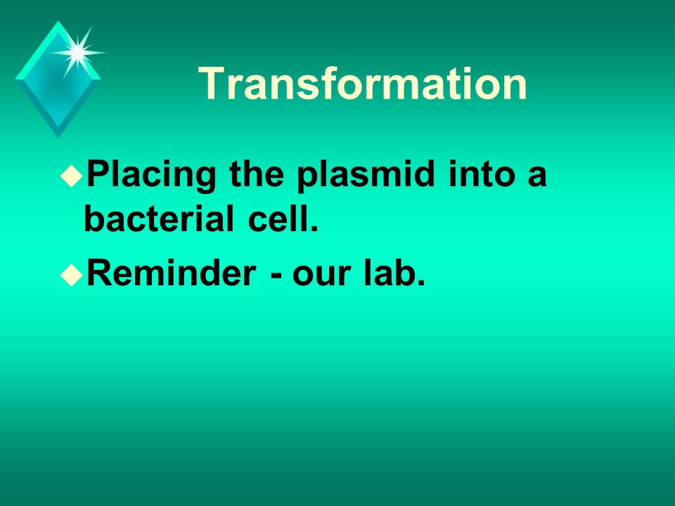 Transformation u Placing the plasmid into a bacterial cell. u Reminder - our lab.