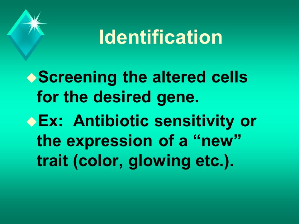 Identification u Screening the altered cells for the desired gene.