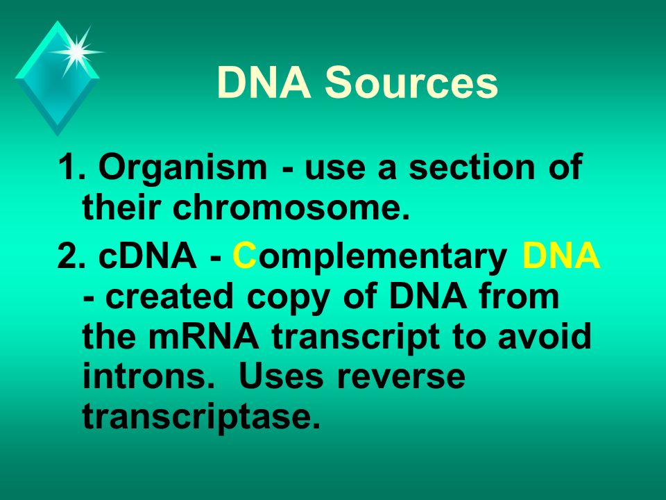 DNA Sources 1. Organism - use a section of their chromosome.