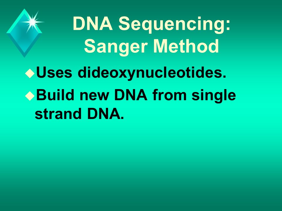 DNA Sequencing: Sanger Method u Uses dideoxynucleotides. u Build new DNA from single strand DNA.