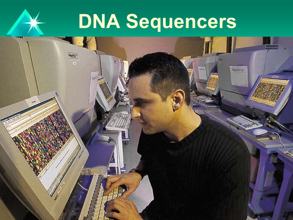 DNA Sequencers