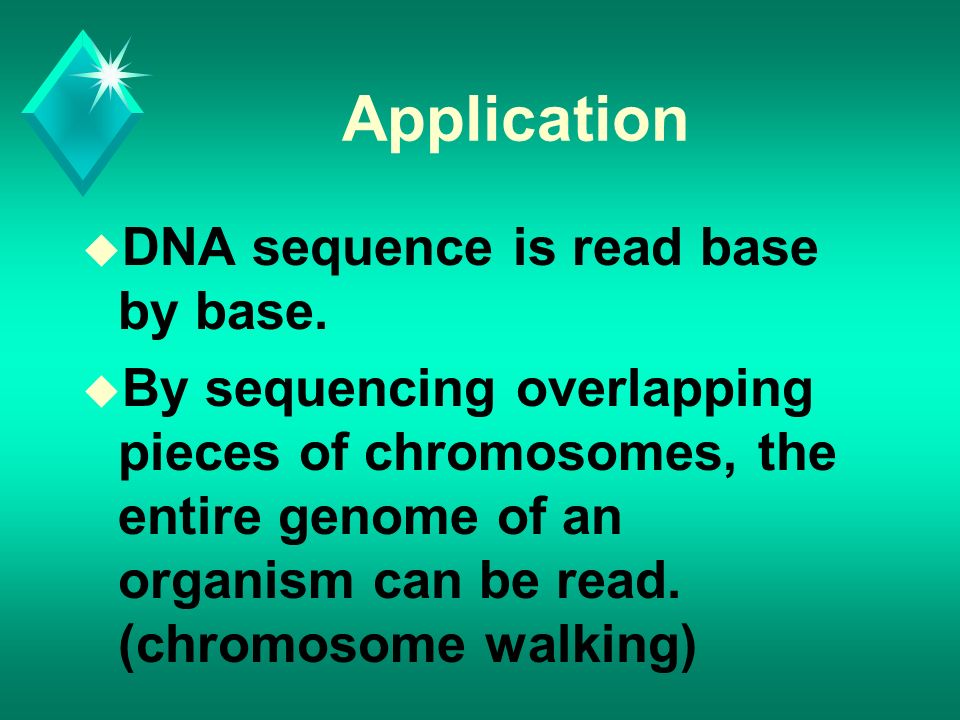Application u DNA sequence is read base by base.