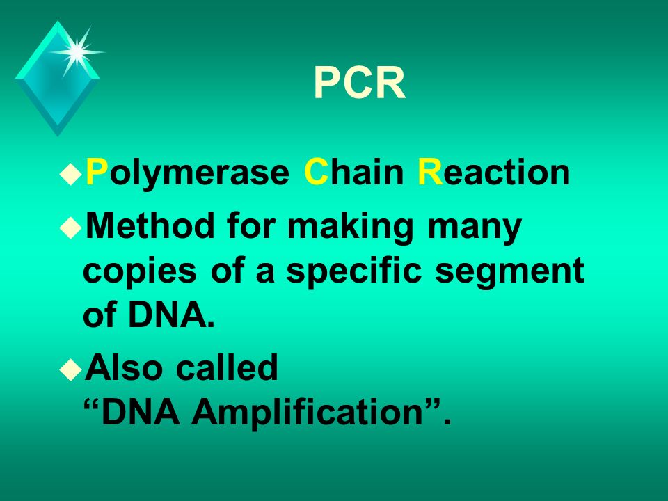PCR u Polymerase Chain Reaction u Method for making many copies of a specific segment of DNA.