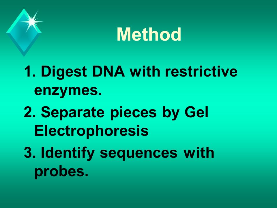 Method 1. Digest DNA with restrictive enzymes. 2.