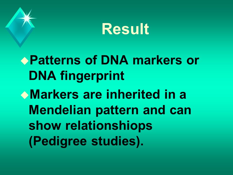 Result u Patterns of DNA markers or DNA fingerprint u Markers are inherited in a Mendelian pattern and can show relationshiops (Pedigree studies).