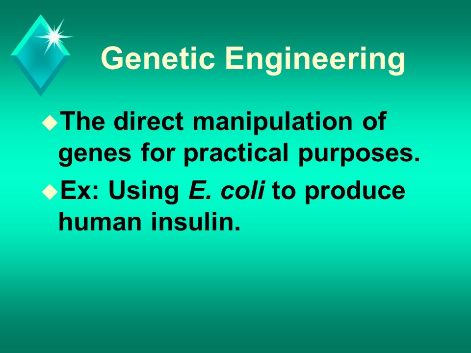 Genetic Engineering u The direct manipulation of genes for practical purposes.