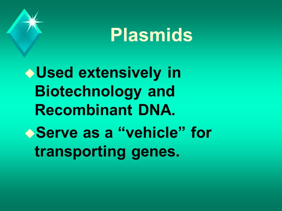 Plasmids u Used extensively in Biotechnology and Recombinant DNA.