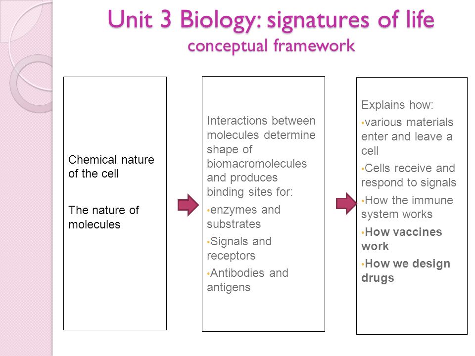 biology cell help homework molecular