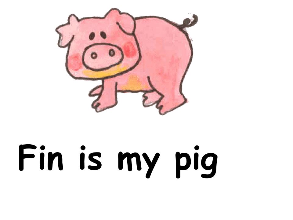 Fin is my pig