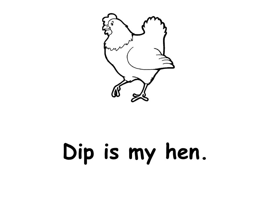 Dip is my hen.