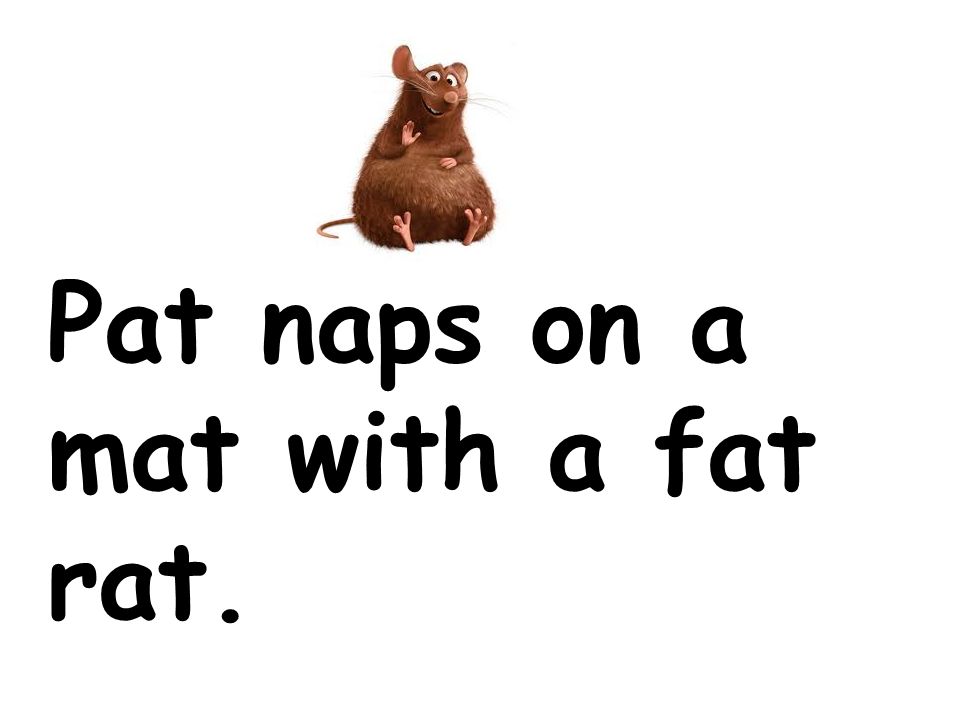 Pat naps on a mat with a fat rat.