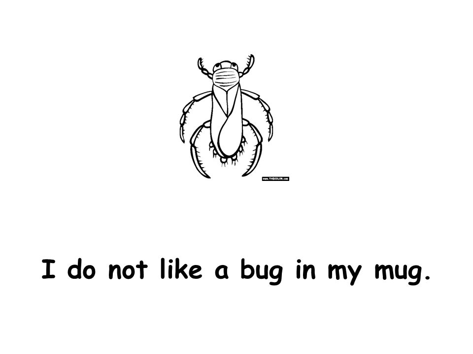 I do not like a bug in my mug.