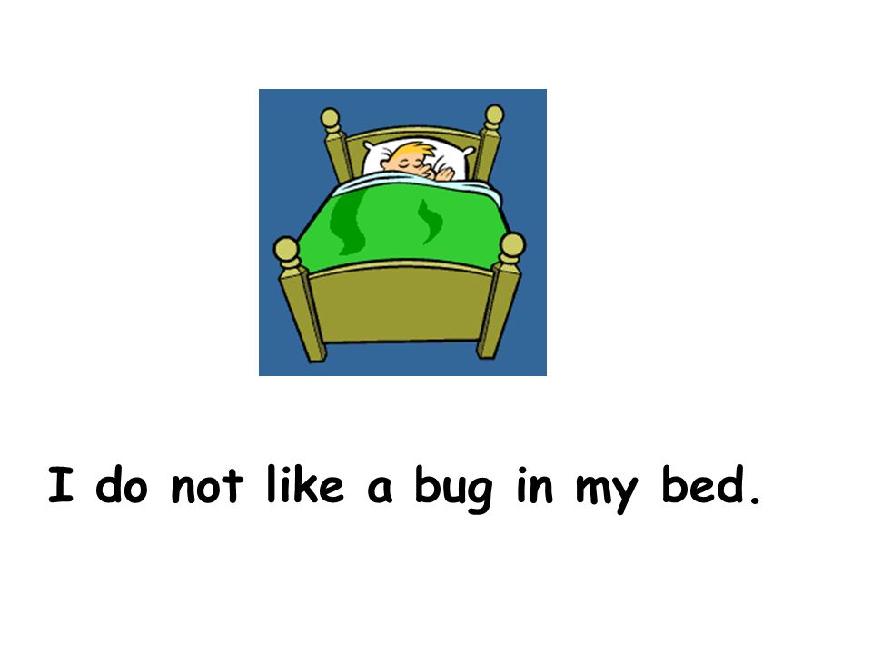 I do not like a bug in my bed.