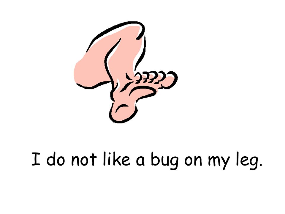 I do not like a bug on my leg.