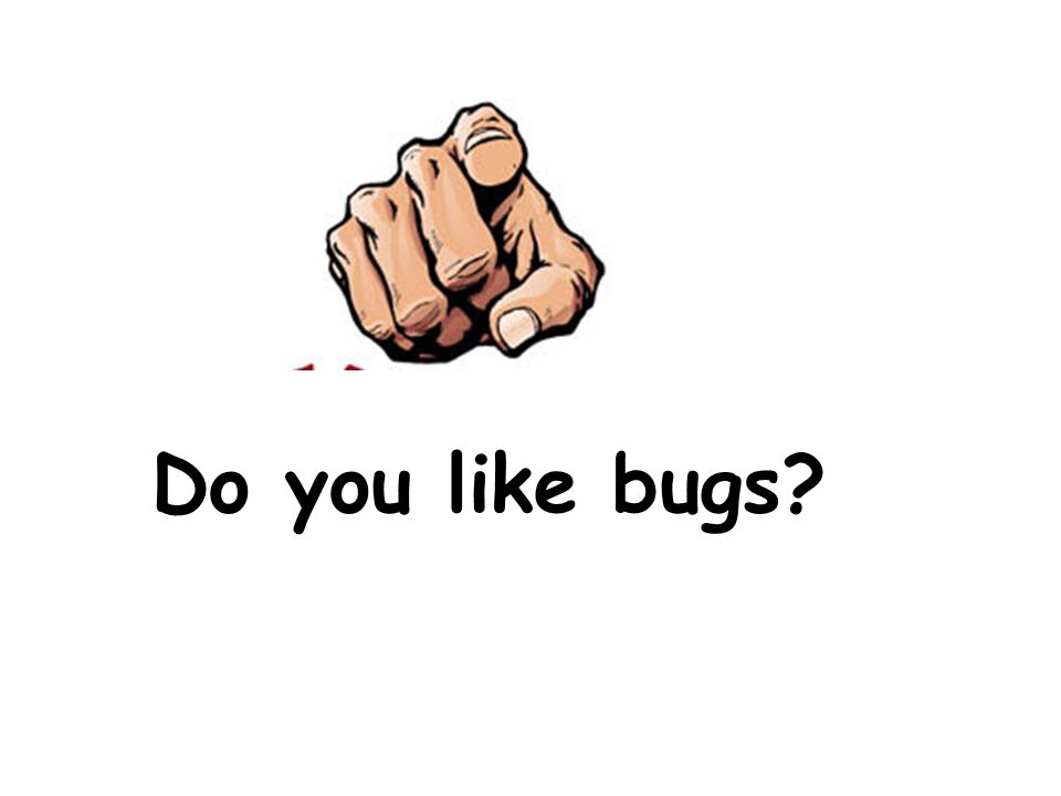 Do you like bugs