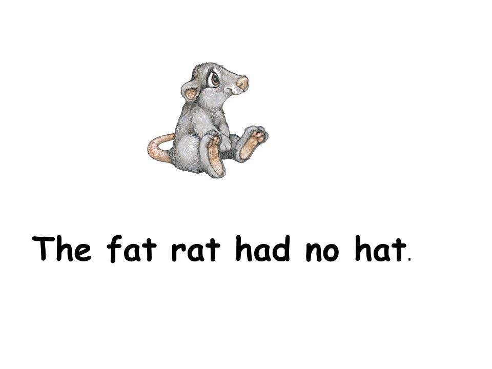 The fat rat had no hat.