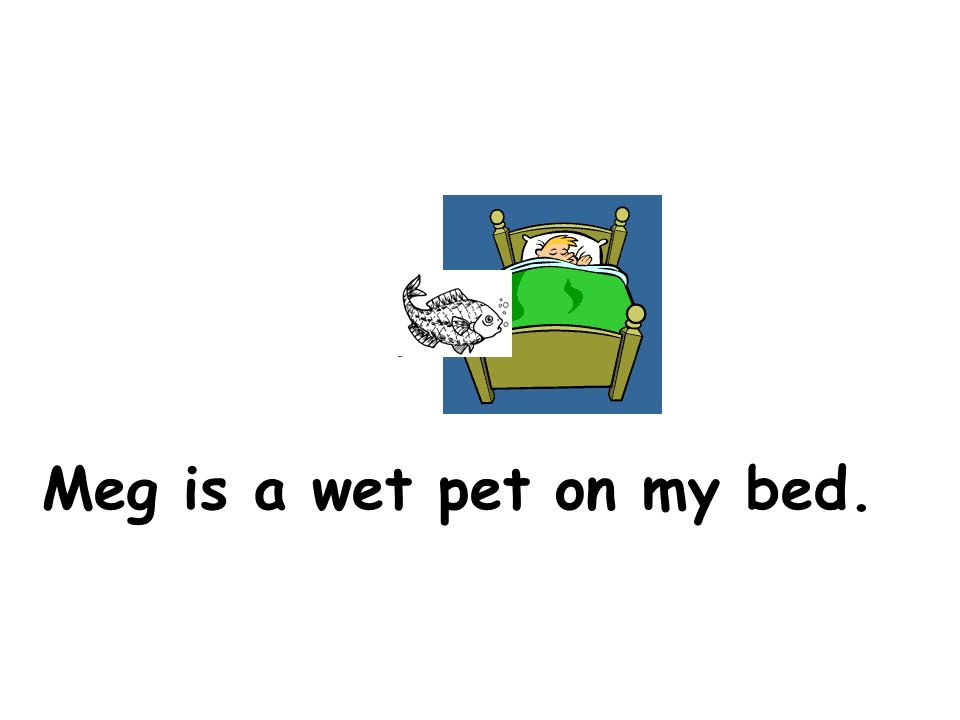 Meg is a wet pet on my bed.