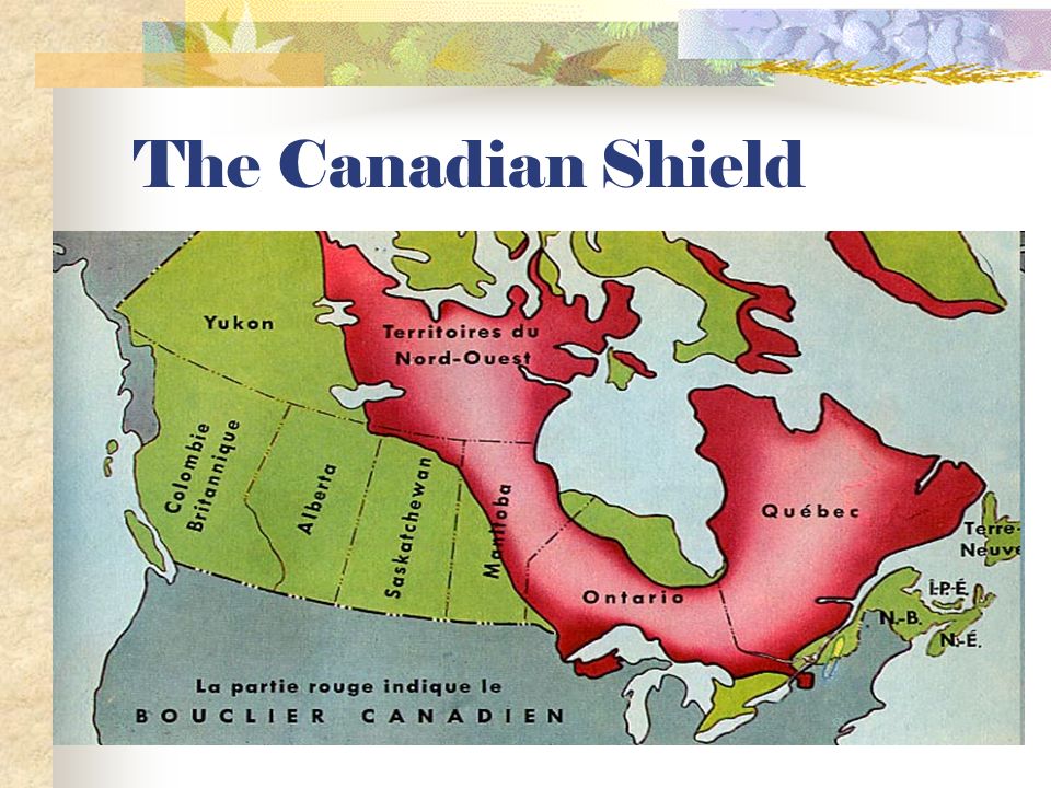 Canadian Shield Most of the Canadian Arctic is covered in a sheet of rock called the Canadian Shield.