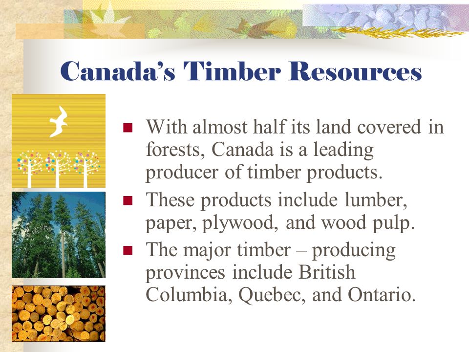 Canadian Shield Canada’s extensive mineral resources provide valuable exports and also supply domestic industries.
