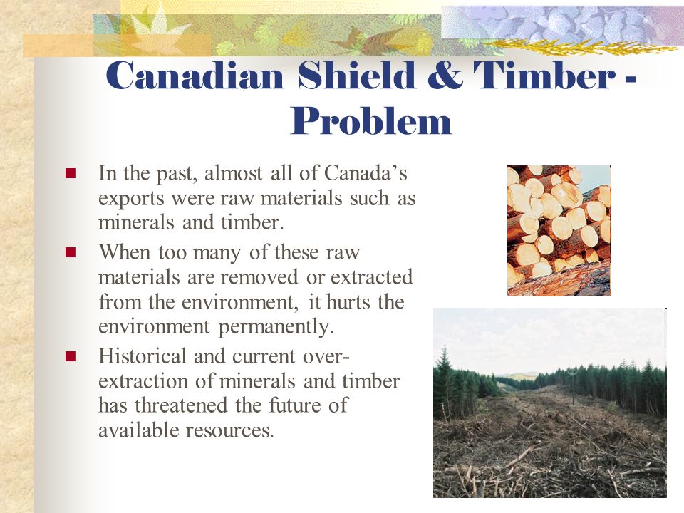 With almost half its land covered in forests, Canada is a leading producer of timber products.