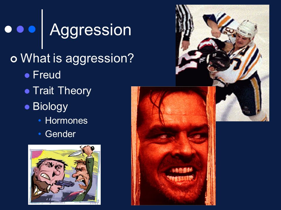 Aggression What is aggression Freud Trait Theory Biology Hormones Gender