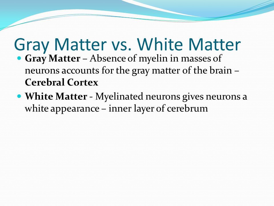 Gray Matter vs.
