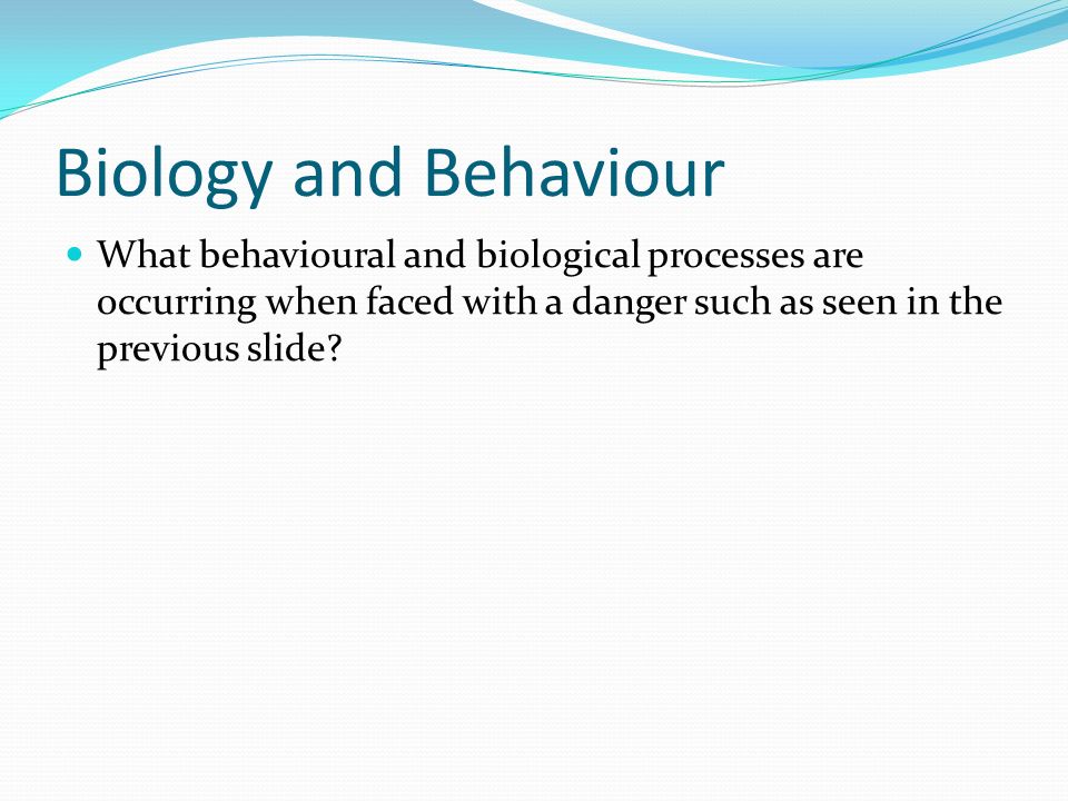 Biology and Behaviour What behavioural and biological processes are occurring when faced with a danger such as seen in the previous slide