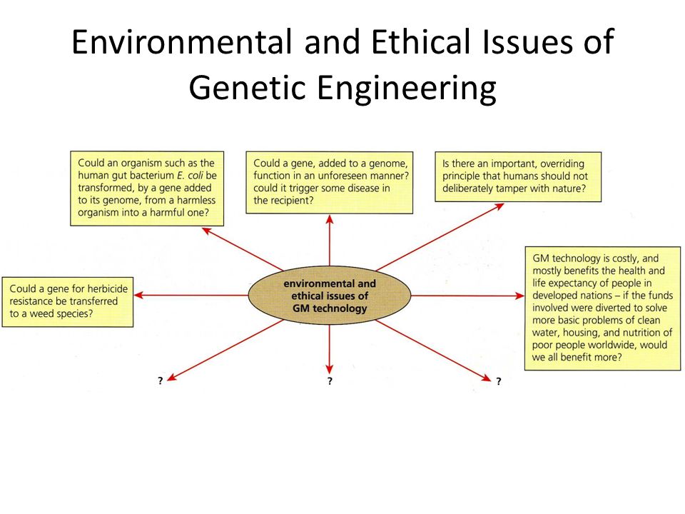Environmental and Ethical Issues of Genetic Engineering