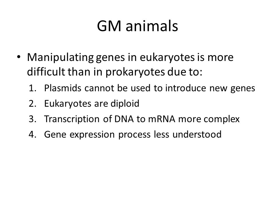 GM animals Manipulating genes in eukaryotes is more difficult than in prokaryotes due to: 1.Plasmids cannot be used to introduce new genes 2.Eukaryotes are diploid 3.Transcription of DNA to mRNA more complex 4.Gene expression process less understood