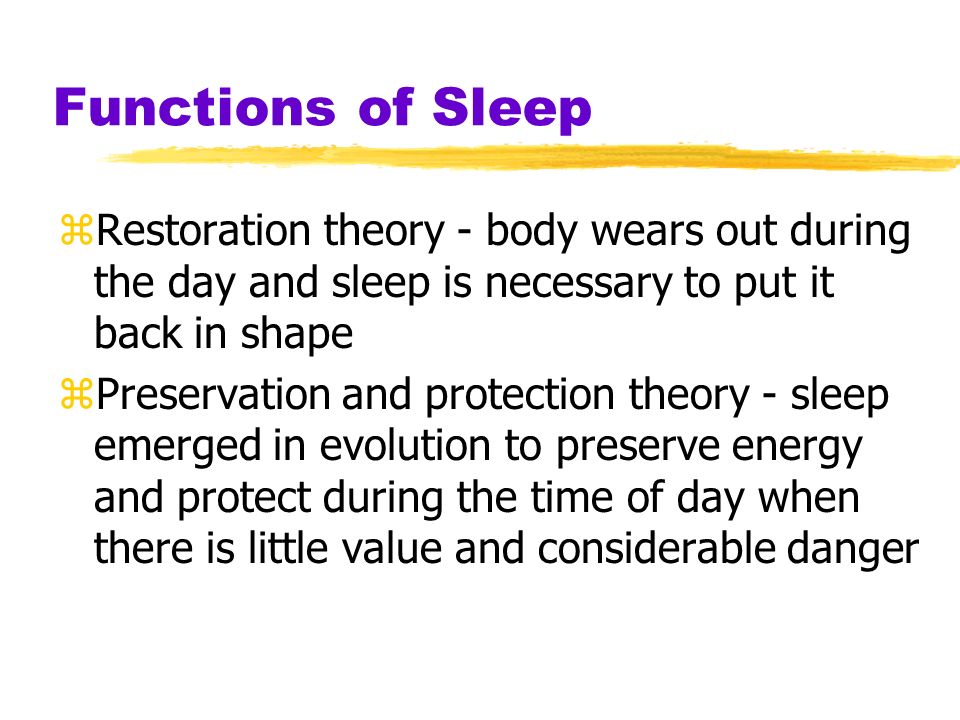 discuss the restoration theory of sleep Evidence in support of restoration theory as evidence for the restoration theory of sleep stress is a good secondary factor to discuss because of. discuss the restoration theory of sleep Evidence in support of restoration theory as evidence for the restoration theory of sleep stress is a good secondary factor to discuss because of.