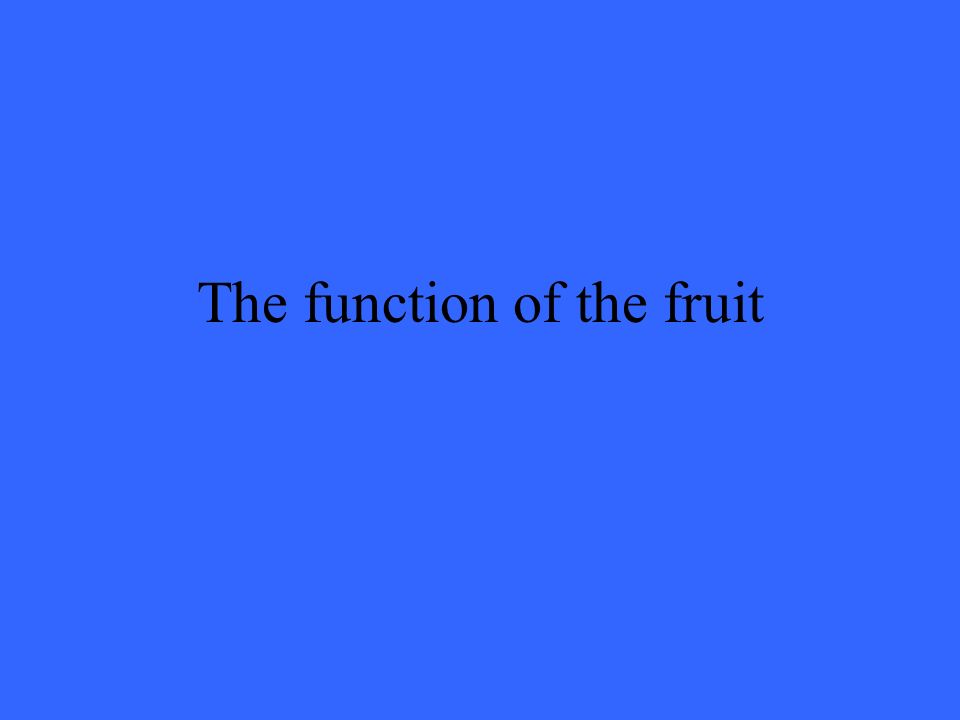 The function of the fruit