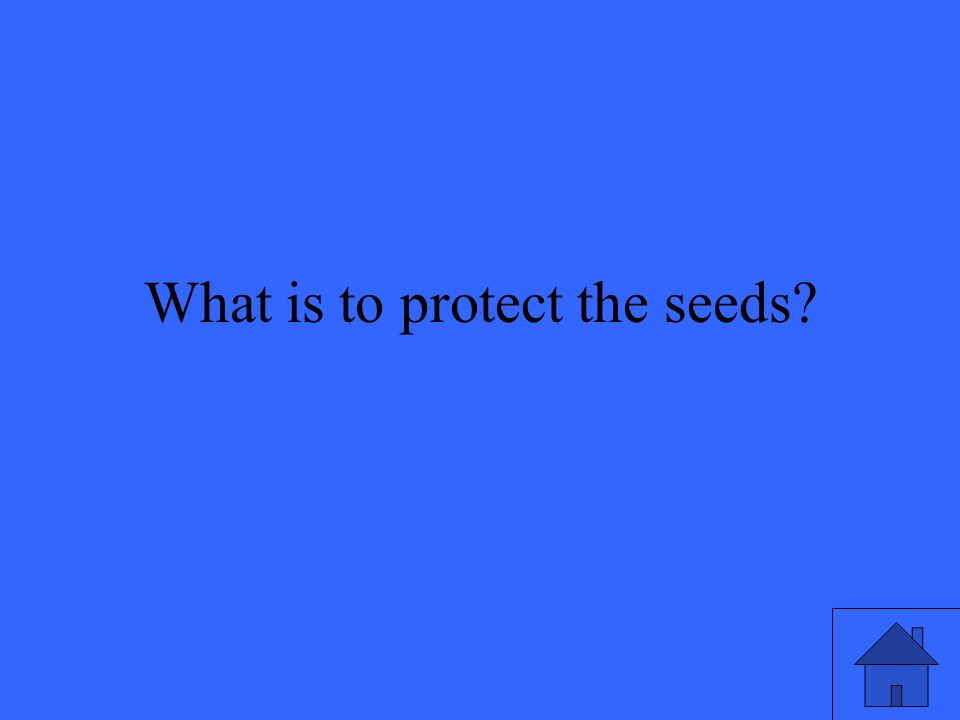 What is to protect the seeds