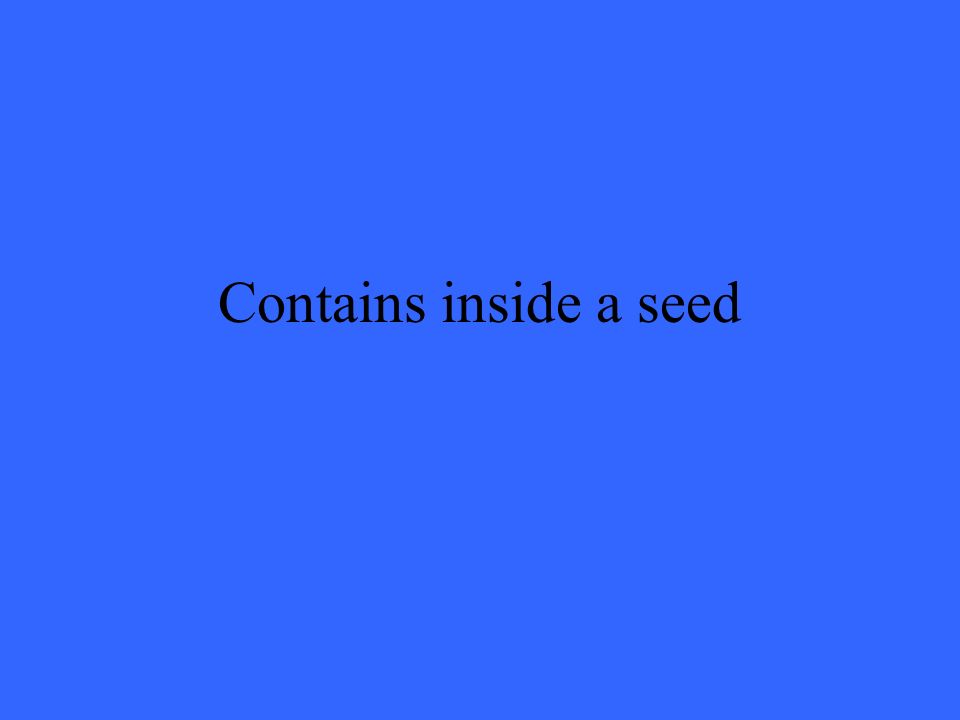 Contains inside a seed