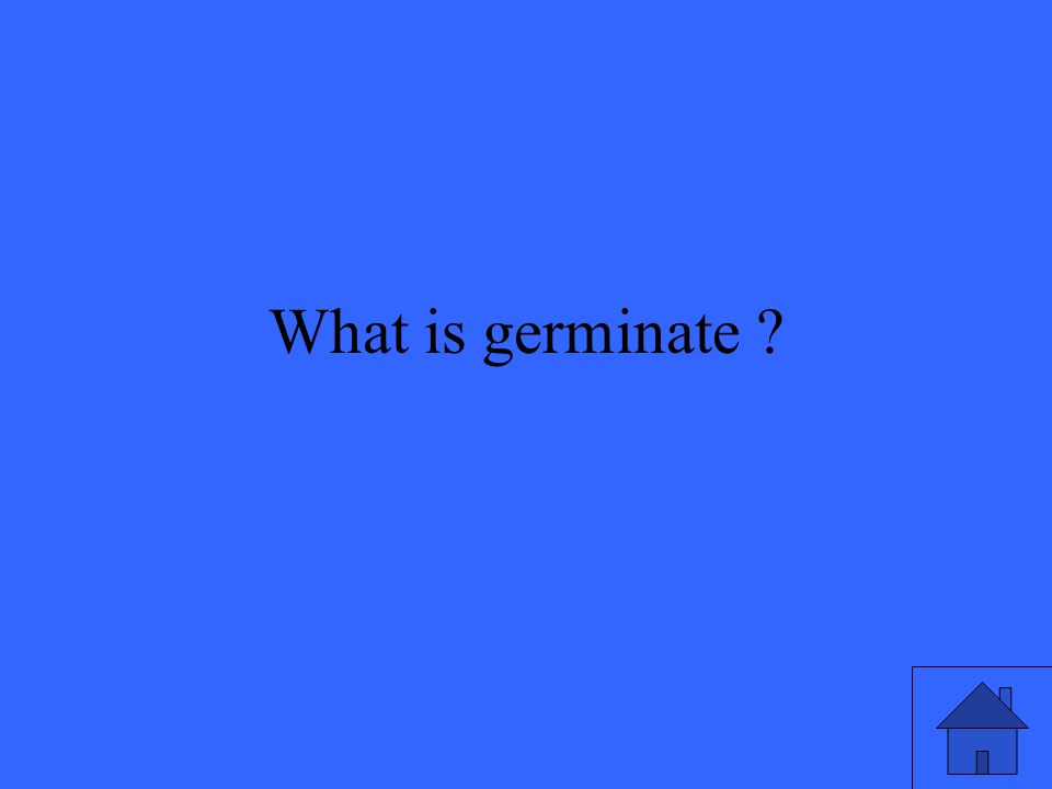 What is germinate
