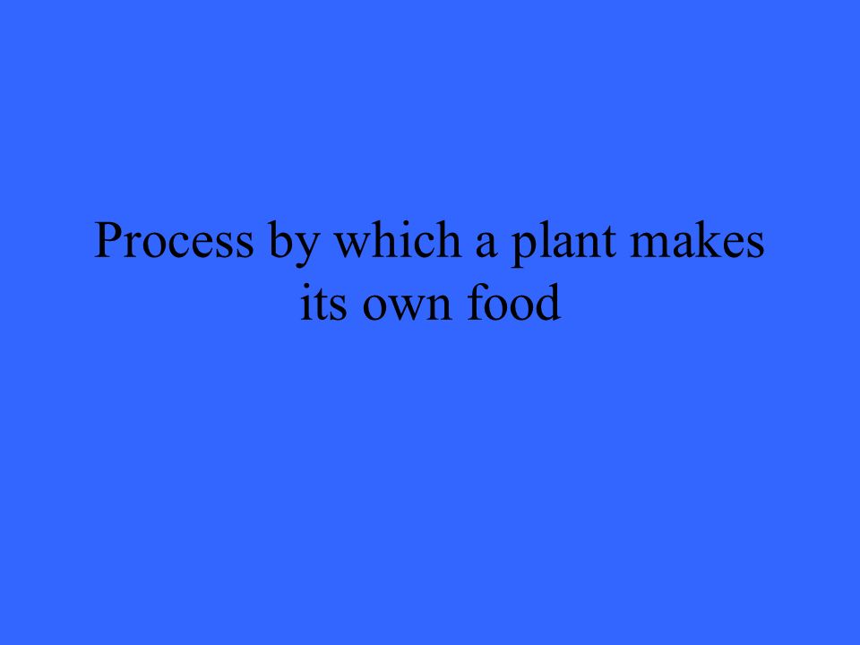 Process by which a plant makes its own food
