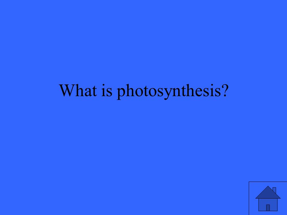 What is photosynthesis