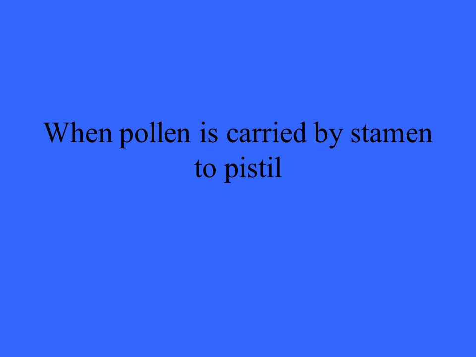 When pollen is carried by stamen to pistil