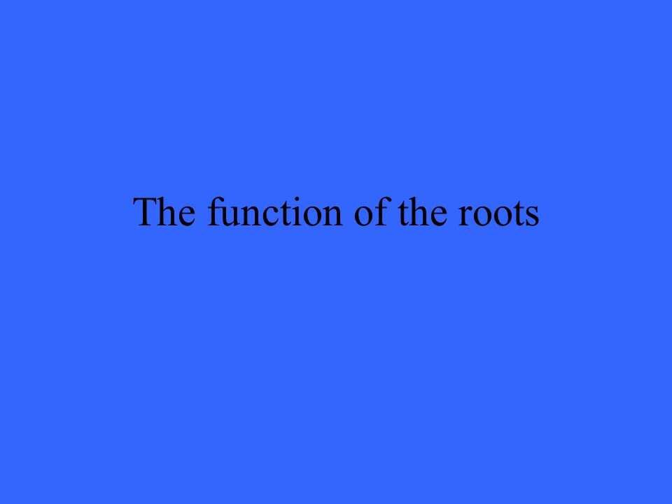 The function of the roots