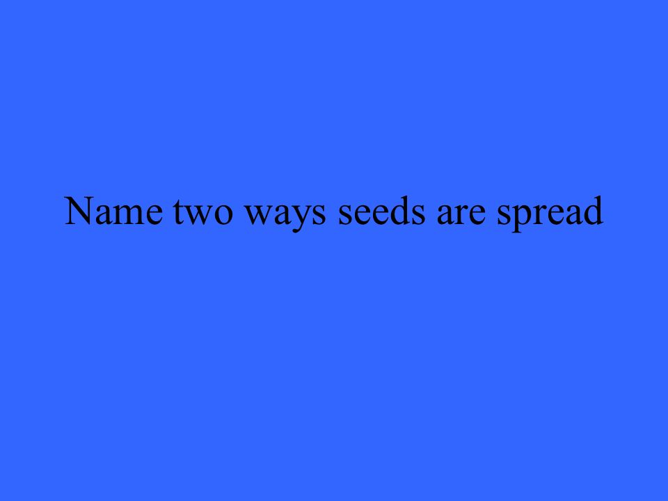 Name two ways seeds are spread