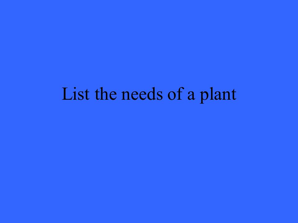 List the needs of a plant