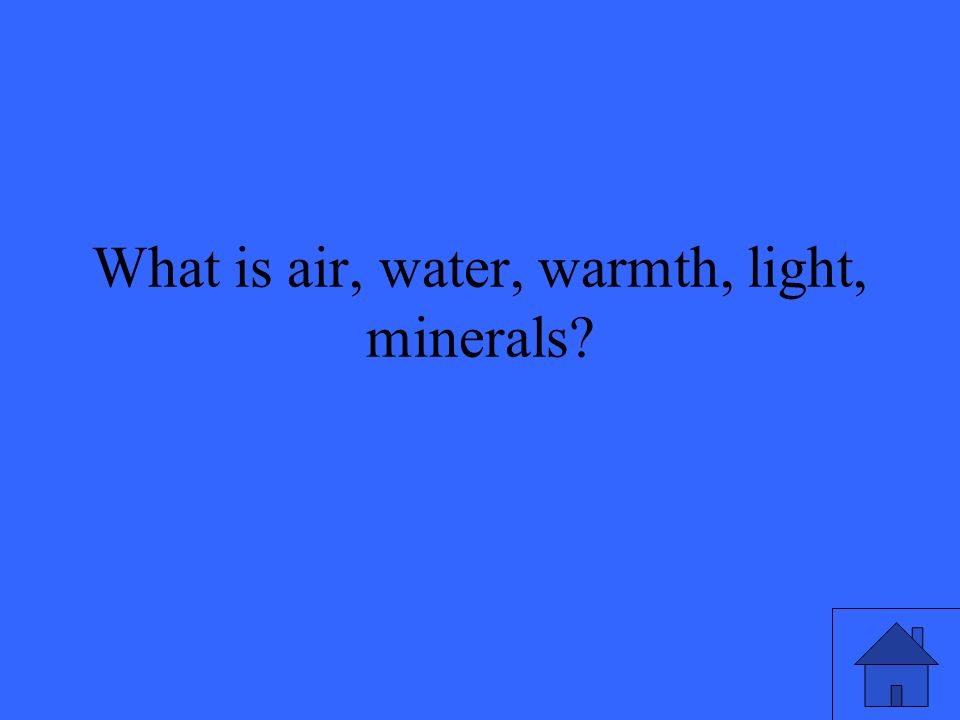 What is air, water, warmth, light, minerals
