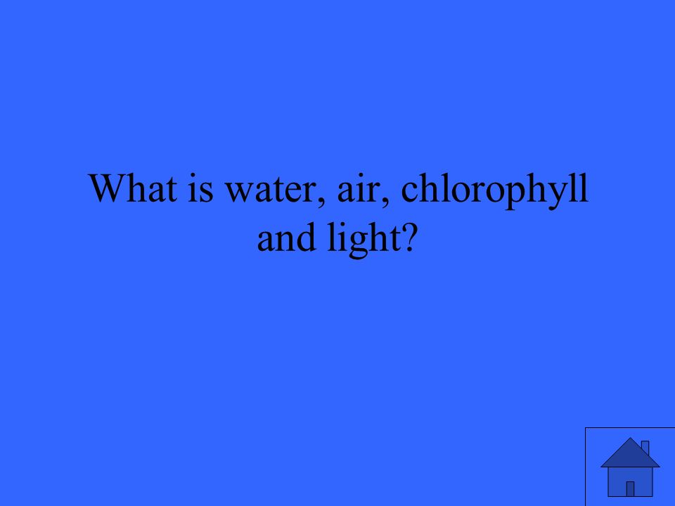 What is water, air, chlorophyll and light
