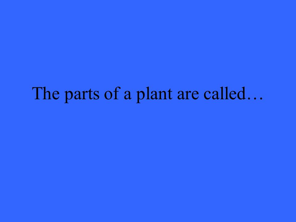 The parts of a plant are called…