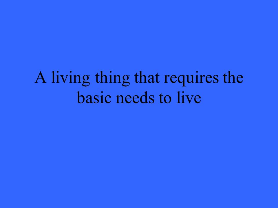 A living thing that requires the basic needs to live