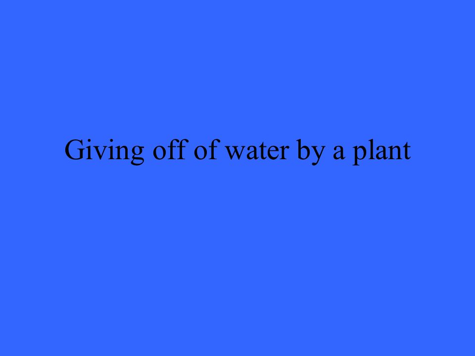 Giving off of water by a plant